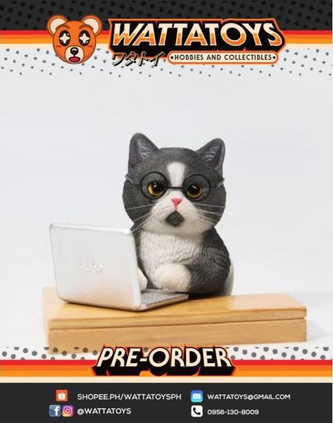 PRE ORDER- JXK - 1/6 Slack Off Cat B