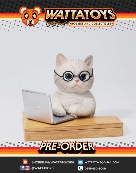 PRE ORDER- JXK - 1/6 Slack Off Cat A