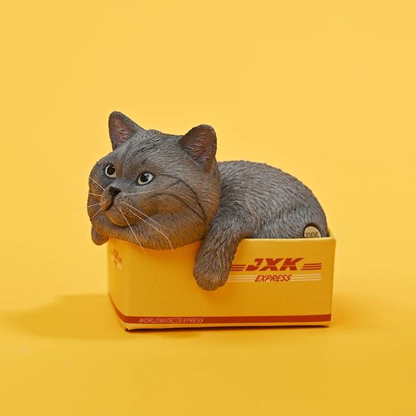 PRE ORDER - JXK SMALL - 1/6 The cat in the delivery box 4.0