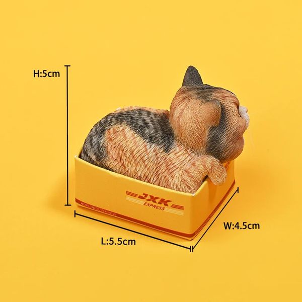 PRE ORDER - JXK SMALL - 1/6 The cat in the delivery box 4.0