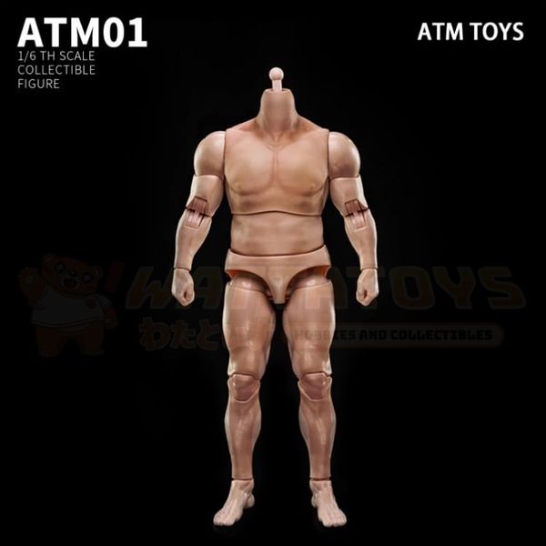 PREORDER - ATM TOYS - 1/6 Scale - strong version male action figure body