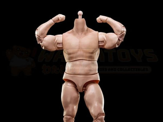 PREORDER - ATM TOYS - 1/6 Scale - strong version male action figure body