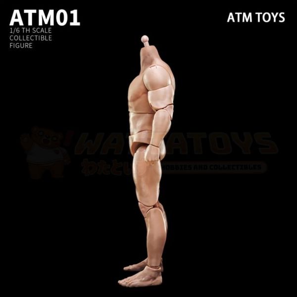 PREORDER - ATM TOYS - 1/6 Scale - strong version male action figure body