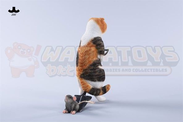 PREORDER - JXK - 1/6 Scale - Folded Eared Cat