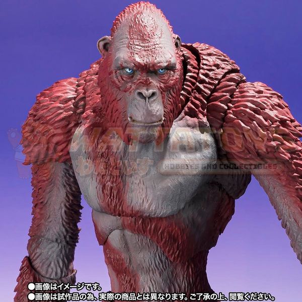 PREORDER - BANDAI - GODZILLA x KONG: THE NEW EMPIRE - S.H. Monster Arts SKAR KING