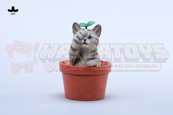 PREORDER - JXK - 1/6 Scale - Blossom Paws