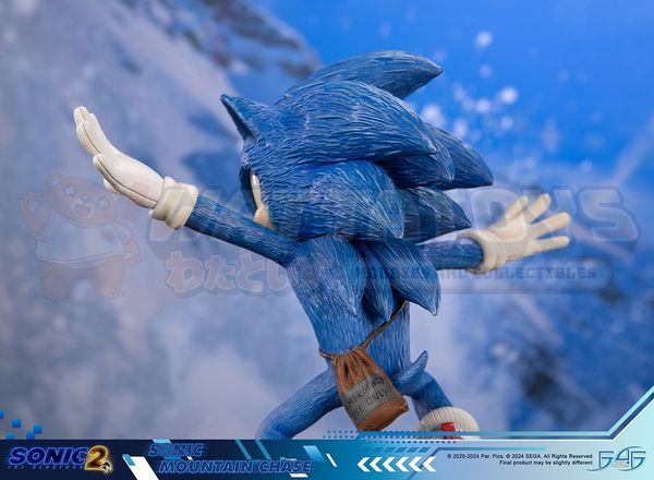 PREORDER - FIRST 4 FIGURES - SONIC THE HEDGEHOG 2 - SONIC MOUNTAIN CHASE