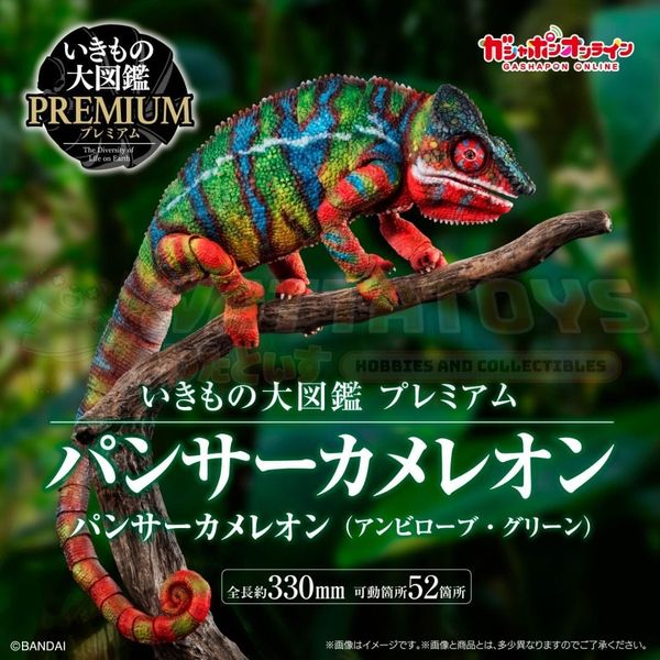 PREORDER - PREMIUM BANDAI - [GOL] Premium Panther chameleon (Ambilobe Green)