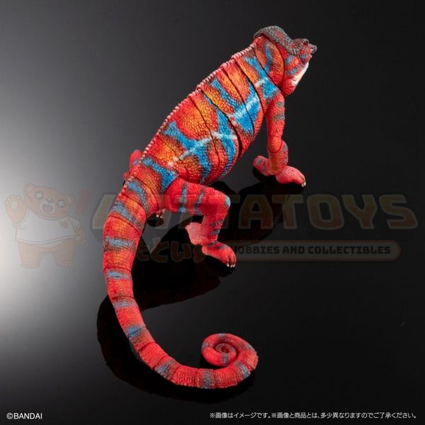 PREORDER - PREMIUM BANDAI - [GOL] Premium Panther chameleon (Ambilobe Red)