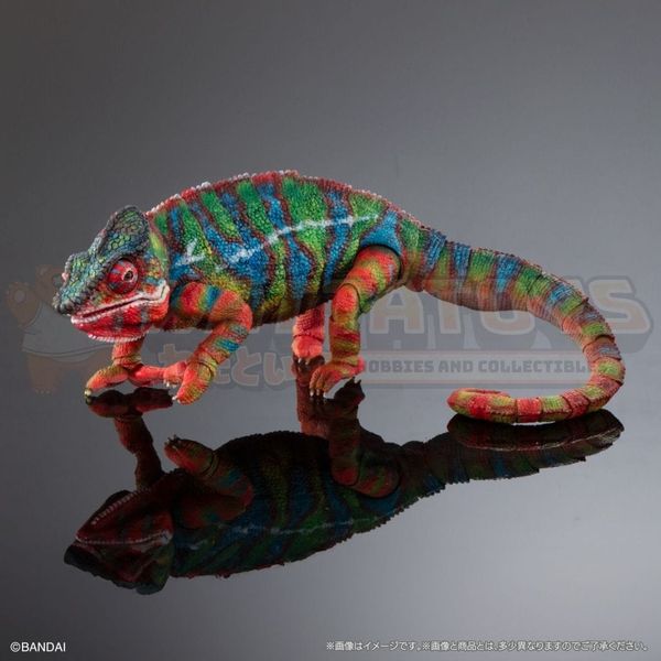 PREORDER - PREMIUM BANDAI - [GOL] Premium Panther chameleon (Ambilobe Green)