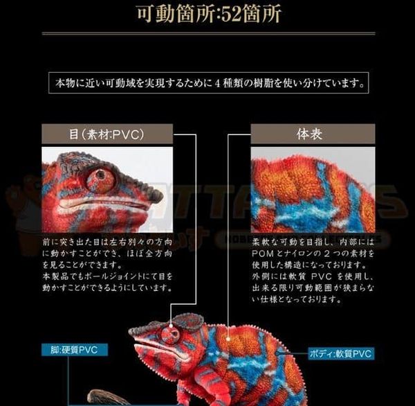 PREORDER - PREMIUM BANDAI - [GOL] Premium Panther chameleon (Ambilobe Red)