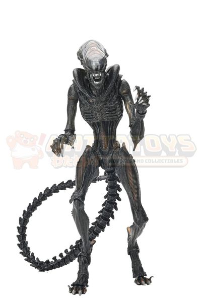 PREORDER - Neca - Alien Romulus 7" Ultimate Scorched Xenomorph