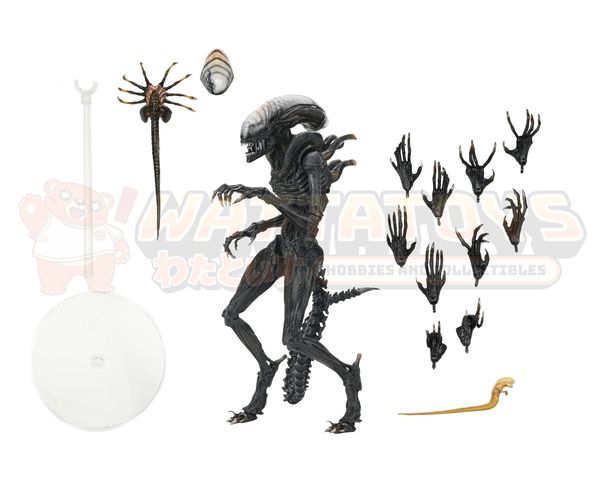 PREORDER - Neca - Alien Romulus 7" Ultimate Scorched Xenomorph