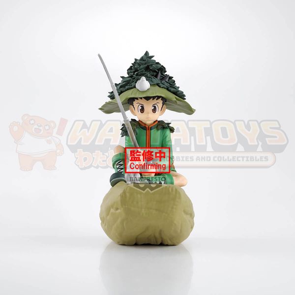 PRE-ORDER - BANPRESTO - HUNTER × HUNTER - MEMORABLE SAGA SPECIAL: GON