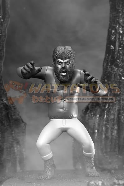 PRE-ORDER - NECA - Toony Terrors 6in Series 10 Silver Screen Edition