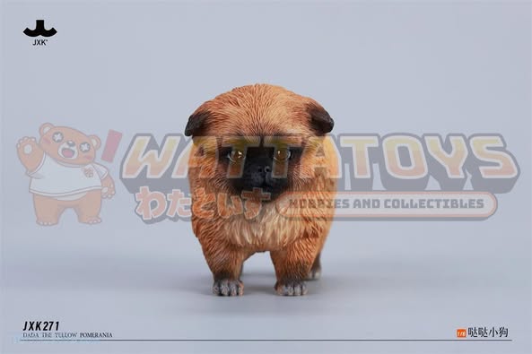 [PRE-ORDER] JXK - 1/6 Dada the Yellow Pomeranian fixed model