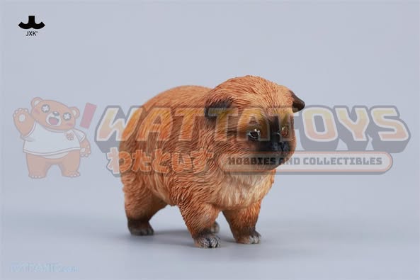 [PRE-ORDER] JXK - 1/6 Dada the Yellow Pomeranian fixed model