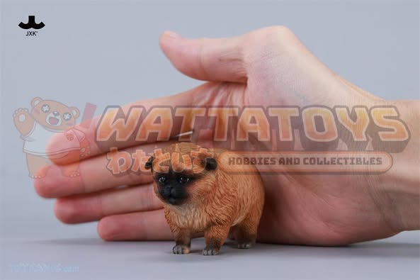 [PRE-ORDER] JXK - 1/6 Dada the Yellow Pomeranian fixed model