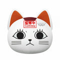 Banpresto Plush Cushion Dandadan - Turbo Granny