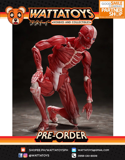 PRE ORDER Figma SP-142 Human Anatomical Model